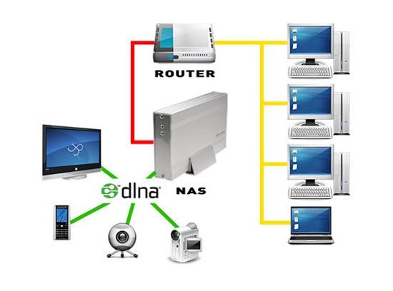 what-is-nas- (2)