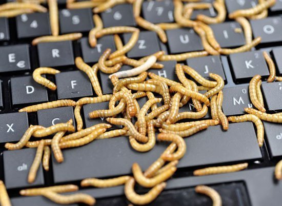 All-about-malware- (8)
