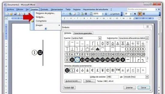 Insertar caracteres especiales en Word 2003