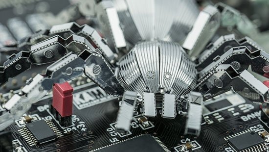 virus-macro- (1)