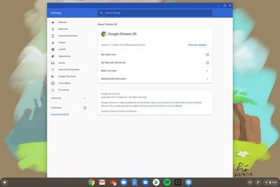 Configuración de Chrome OS